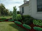 Atlanta landscapers